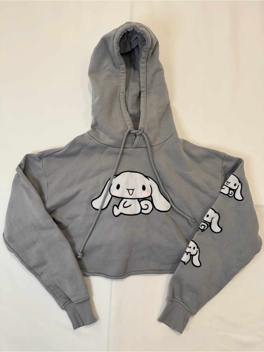 Forever 21 Hello Kitty & Friends Cinnamoroll Graphic Cropped Hoodie M